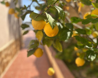 Revente - Villa Individuelle - Algorfa - Lomas de Juliana