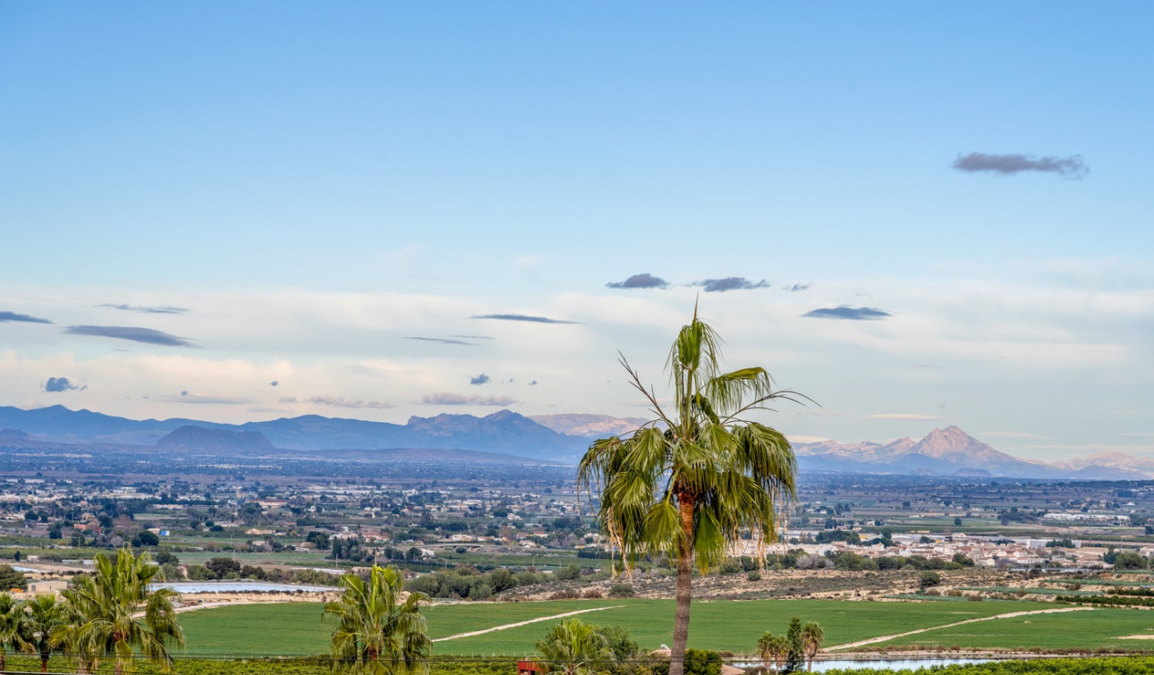 Revente - Villa Individuelle - Algorfa - Lomas De La Juliana