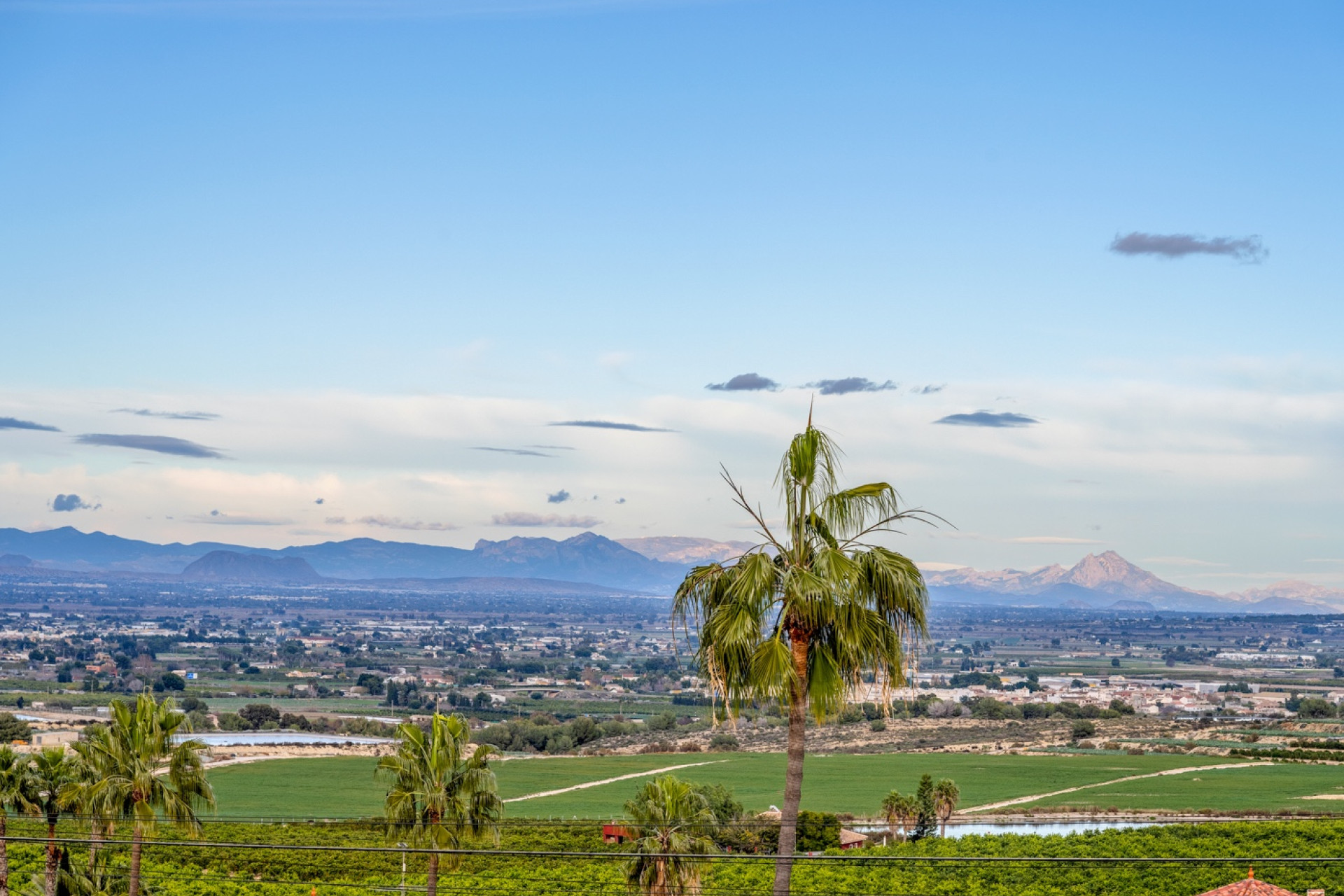 Revente - Villa Individuelle - Algorfa - Lomas De La Juliana