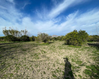 Revente - Villa Individuelle - Benejúzar - Comunidad Valenciana