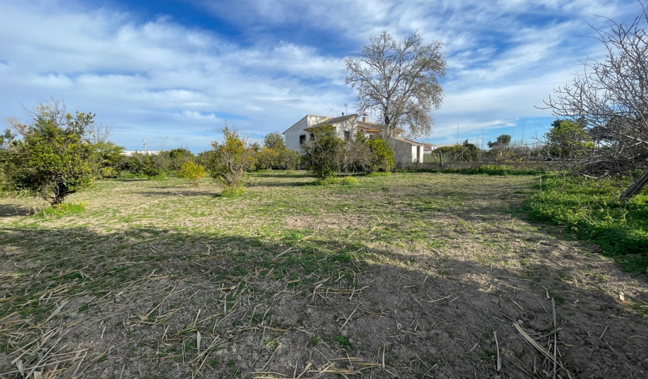 Revente - Villa Individuelle - Benejúzar - Comunidad Valenciana