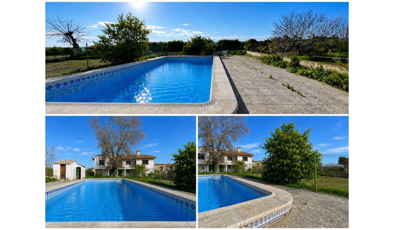 Revente - Villa Individuelle - Benejúzar - Comunidad Valenciana