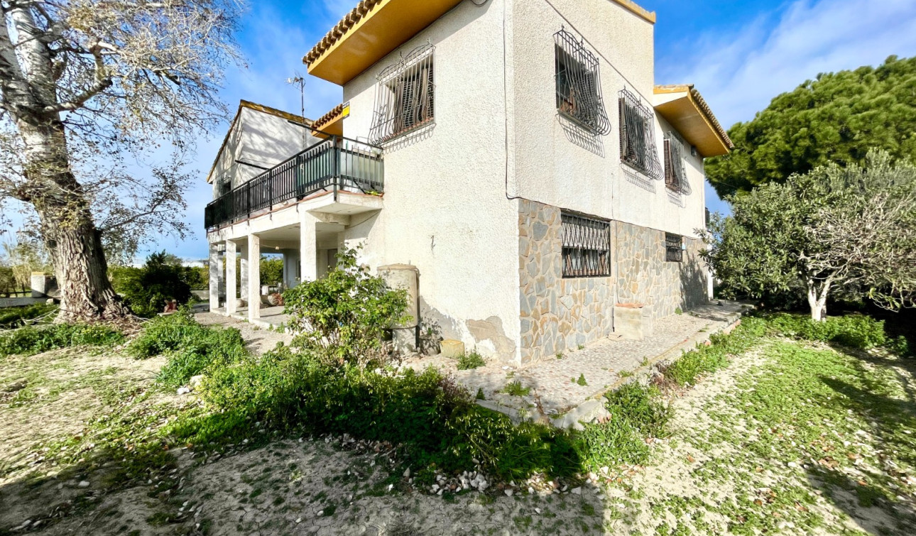 Revente - Villa Individuelle - Benejúzar - Comunidad Valenciana