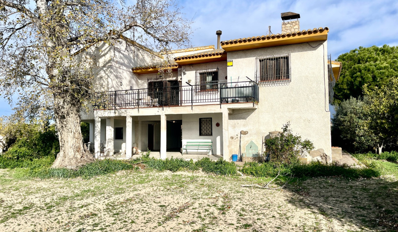 Revente - Villa Individuelle - Benejúzar - Comunidad Valenciana
