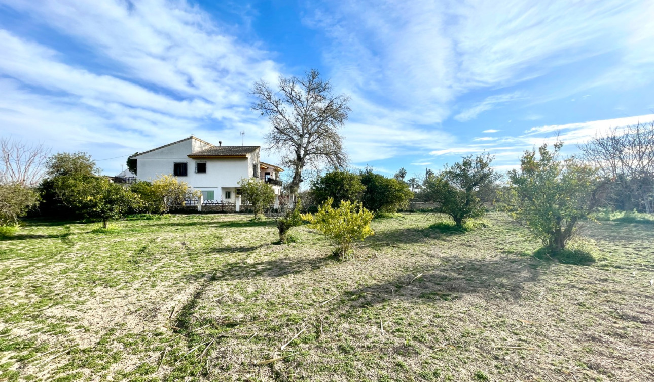 Revente - Villa Individuelle - Benejúzar - Comunidad Valenciana
