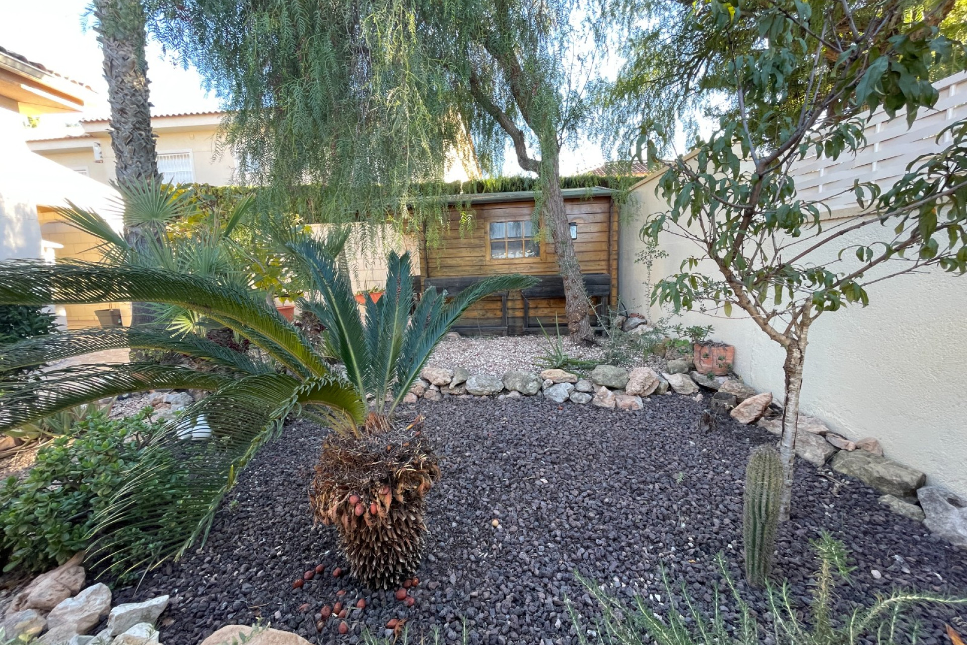 Revente - Villa Individuelle - Benijofar - Benimar