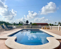 Revente - Villa Individuelle - Catral