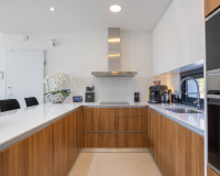 Revente - Villa Individuelle - Ciudad Quesada - Ciudad Quesada - Rojales