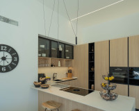 Revente - Villa Individuelle - Ciudad Quesada - Rojales