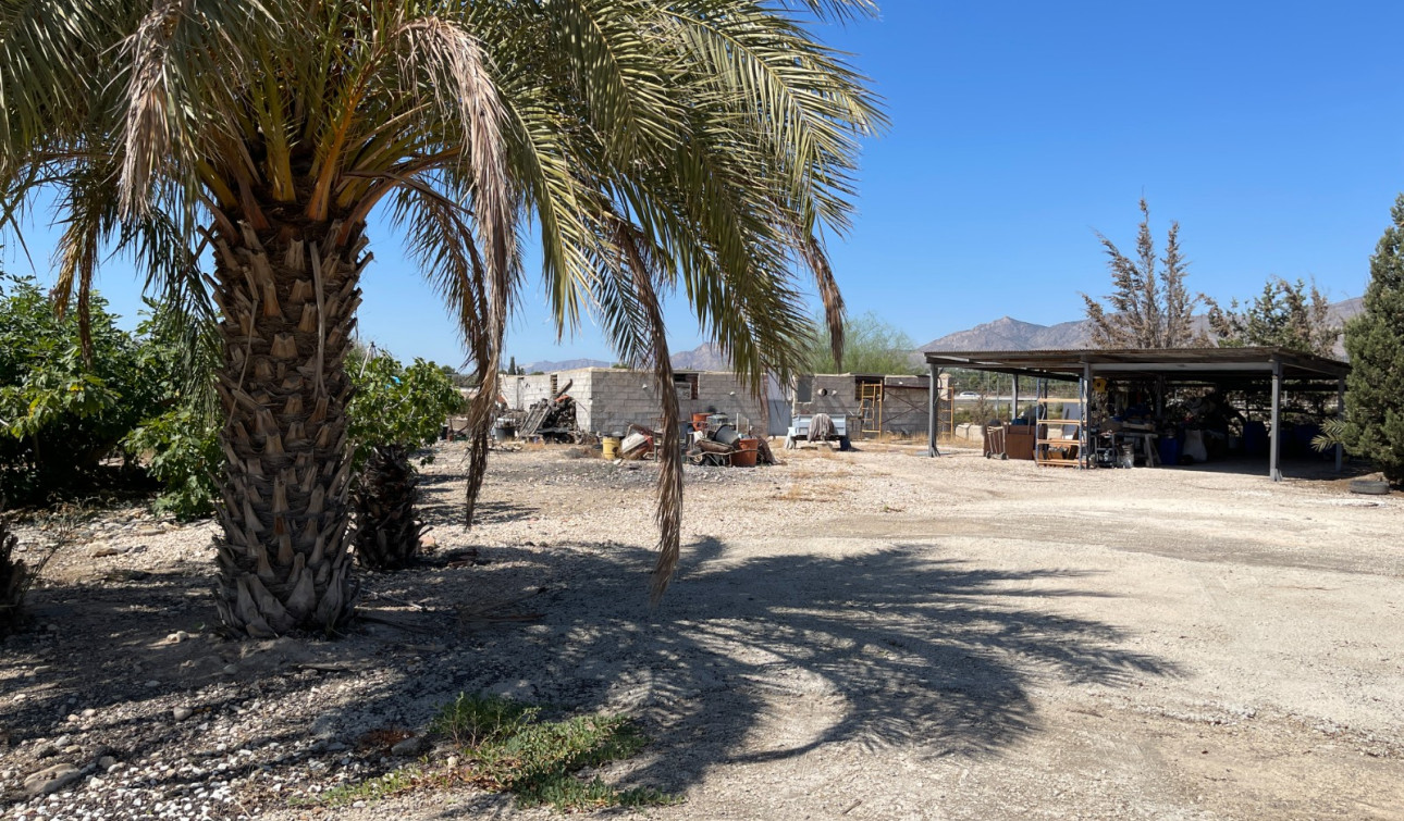 Revente - Villa Individuelle - Crevillente