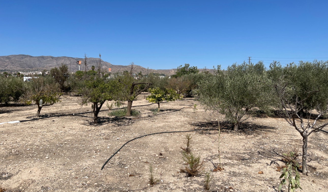 Revente - Villa Individuelle - Crevillente