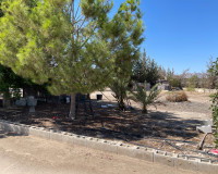 Revente - Villa Individuelle - Crevillente