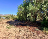 Revente - Villa Individuelle - Crevillente