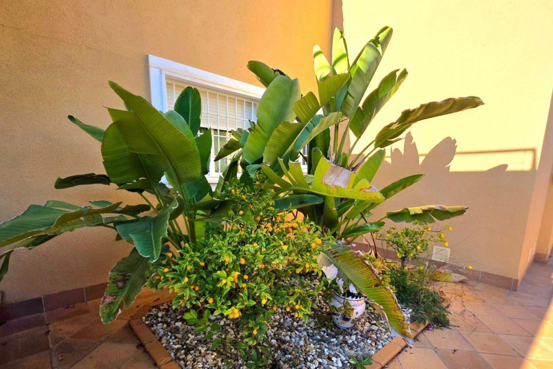 Revente - Villa Individuelle - Dehesa de Campoamor - Campoamor