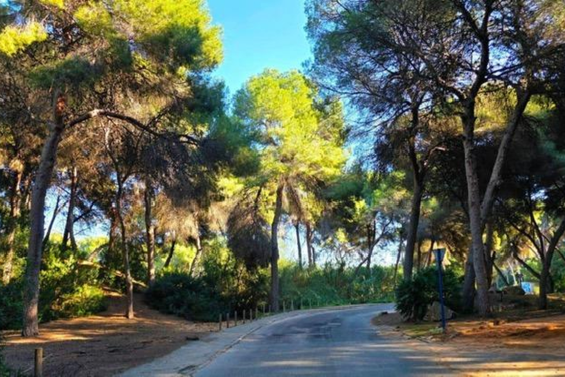 Revente - Villa Individuelle - Dehesa de Campoamor - Campoamor