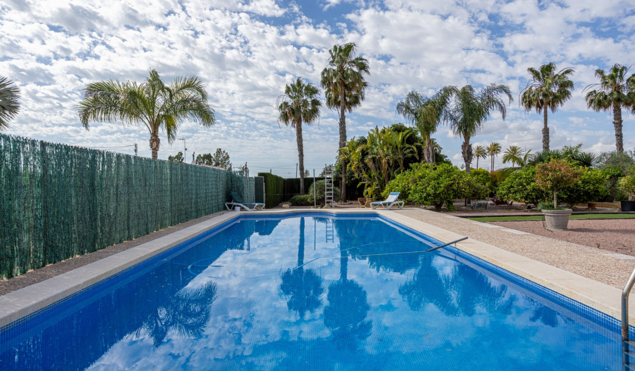 Revente - Villa Individuelle - Elche - La Hoya