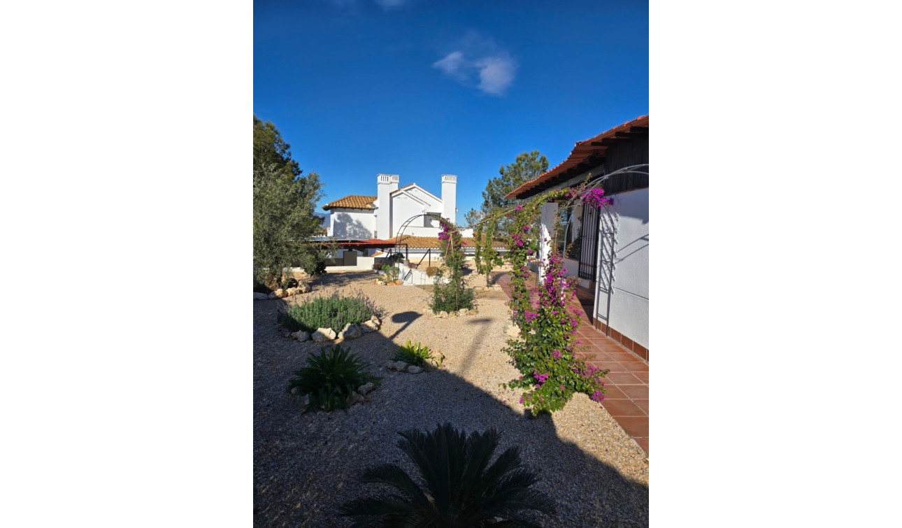 Revente - Villa Individuelle - Fuente Alamo - Las Palas