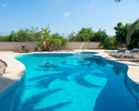 Revente - Villa Individuelle - Guardamar del Segura - El Raso