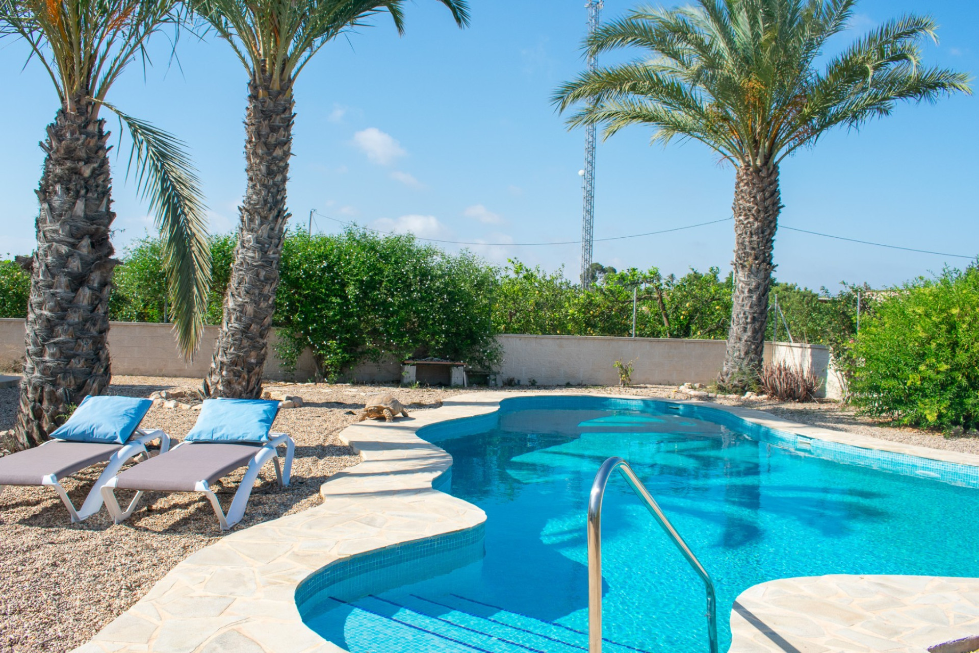 Revente - Villa Individuelle - Guardamar del Segura - El Raso