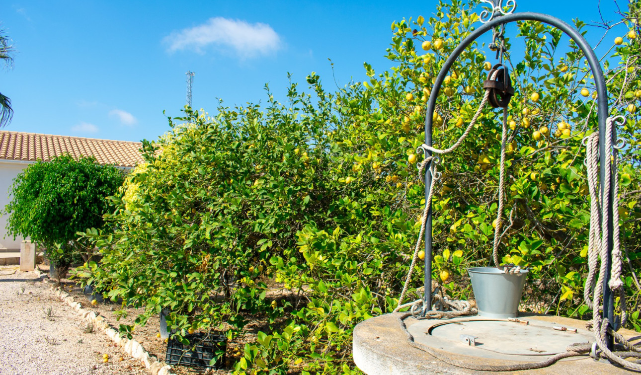 Revente - Villa Individuelle - Guardamar del Segura - El Raso