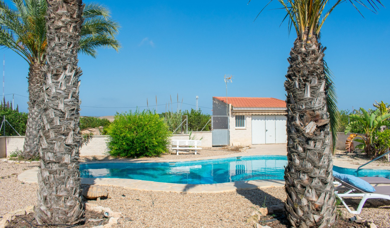 Revente - Villa Individuelle - Guardamar del Segura - El Raso