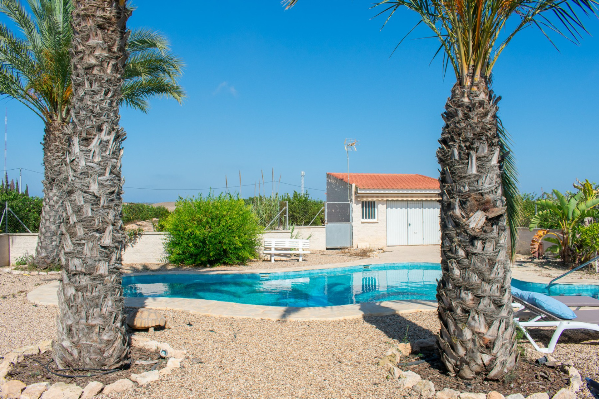 Revente - Villa Individuelle - Guardamar del Segura - El Raso