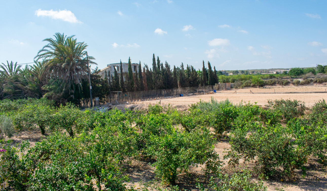 Revente - Villa Individuelle - Guardamar del Segura - El Raso