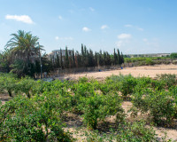 Revente - Villa Individuelle - Guardamar del Segura - El Raso