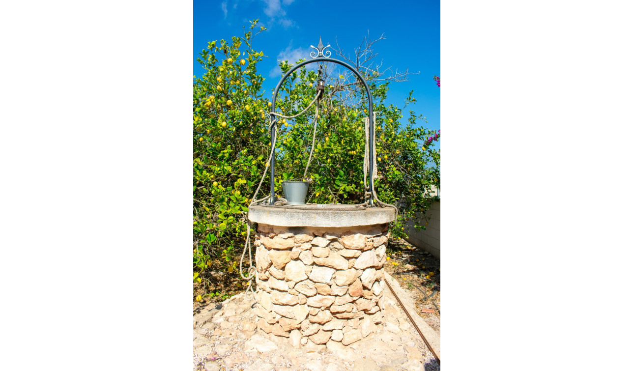 Revente - Villa Individuelle - Guardamar del Segura - El Raso