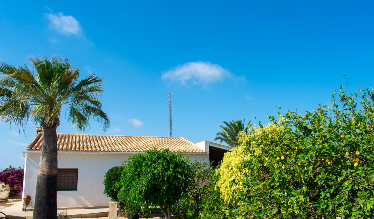 Revente - Villa Individuelle - Guardamar del Segura - El Raso