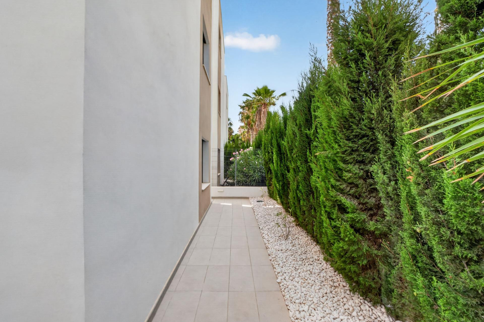 Revente - Villa Individuelle - Guardamar del Segura - EL RASO