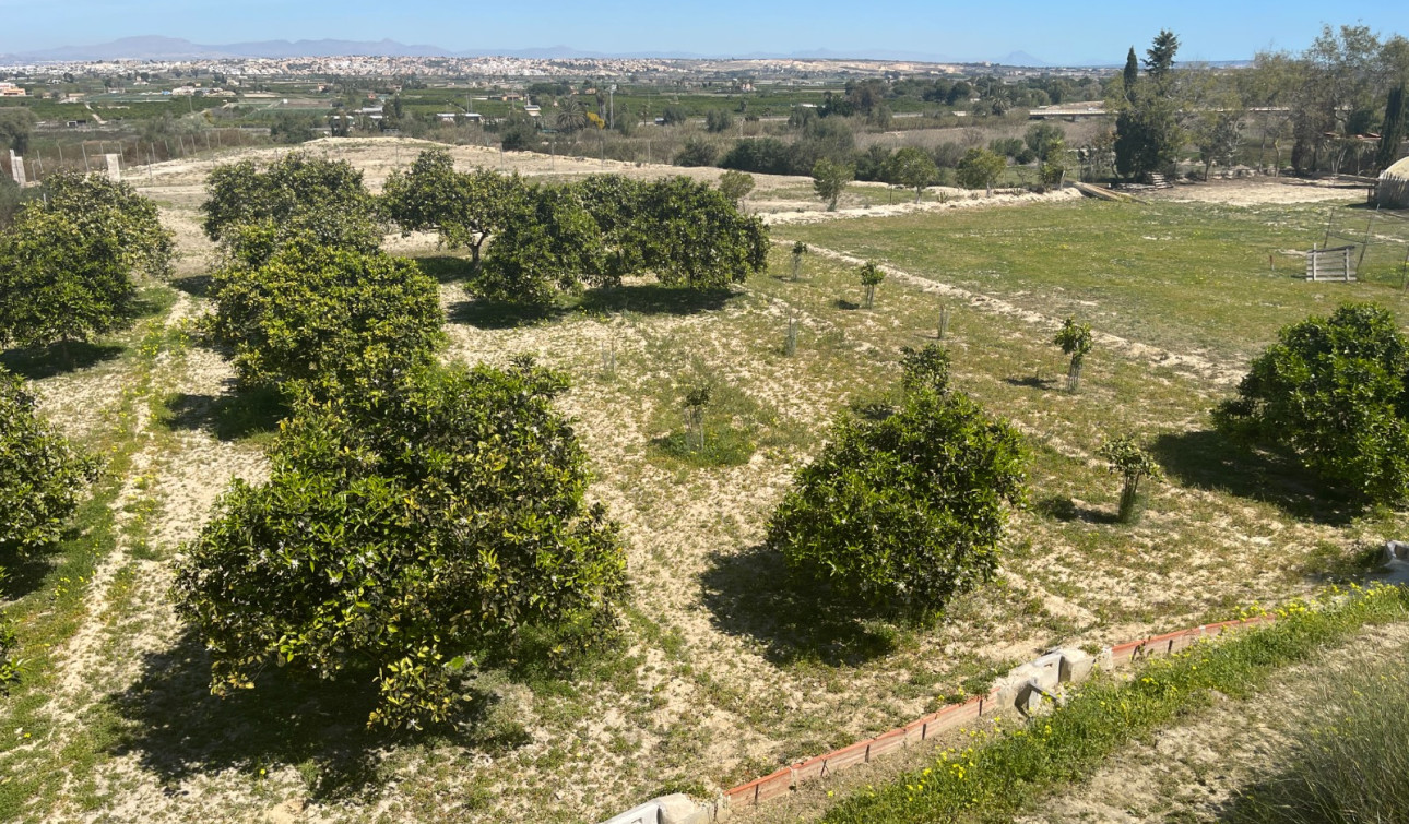 Revente - Villa Individuelle - Guardamar del Segura - Valencian Community