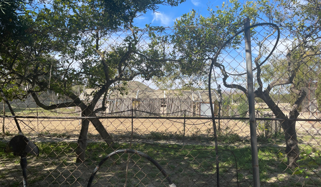 Revente - Villa Individuelle - Guardamar del Segura - Valencian Community