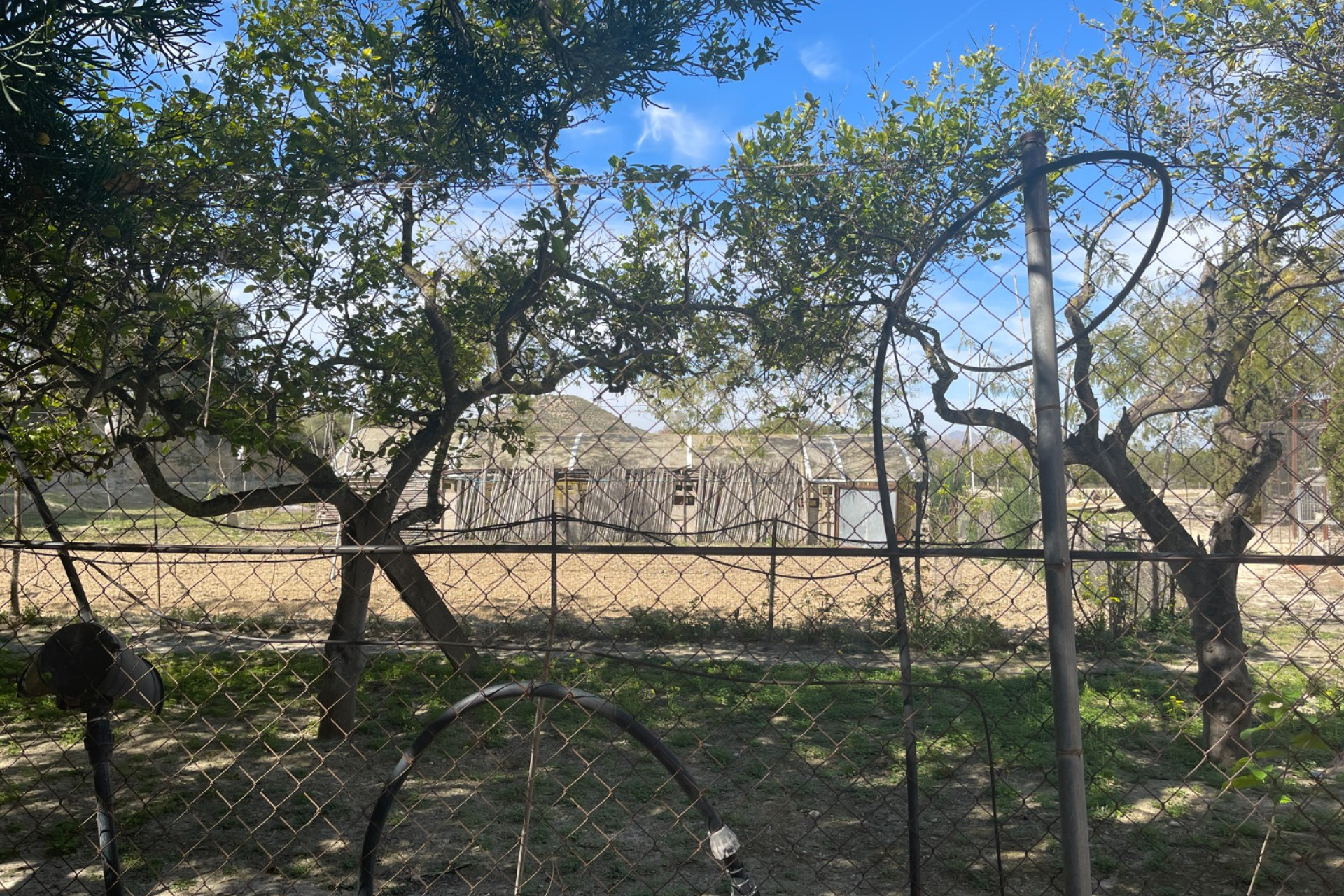 Revente - Villa Individuelle - Guardamar del Segura - Valencian Community