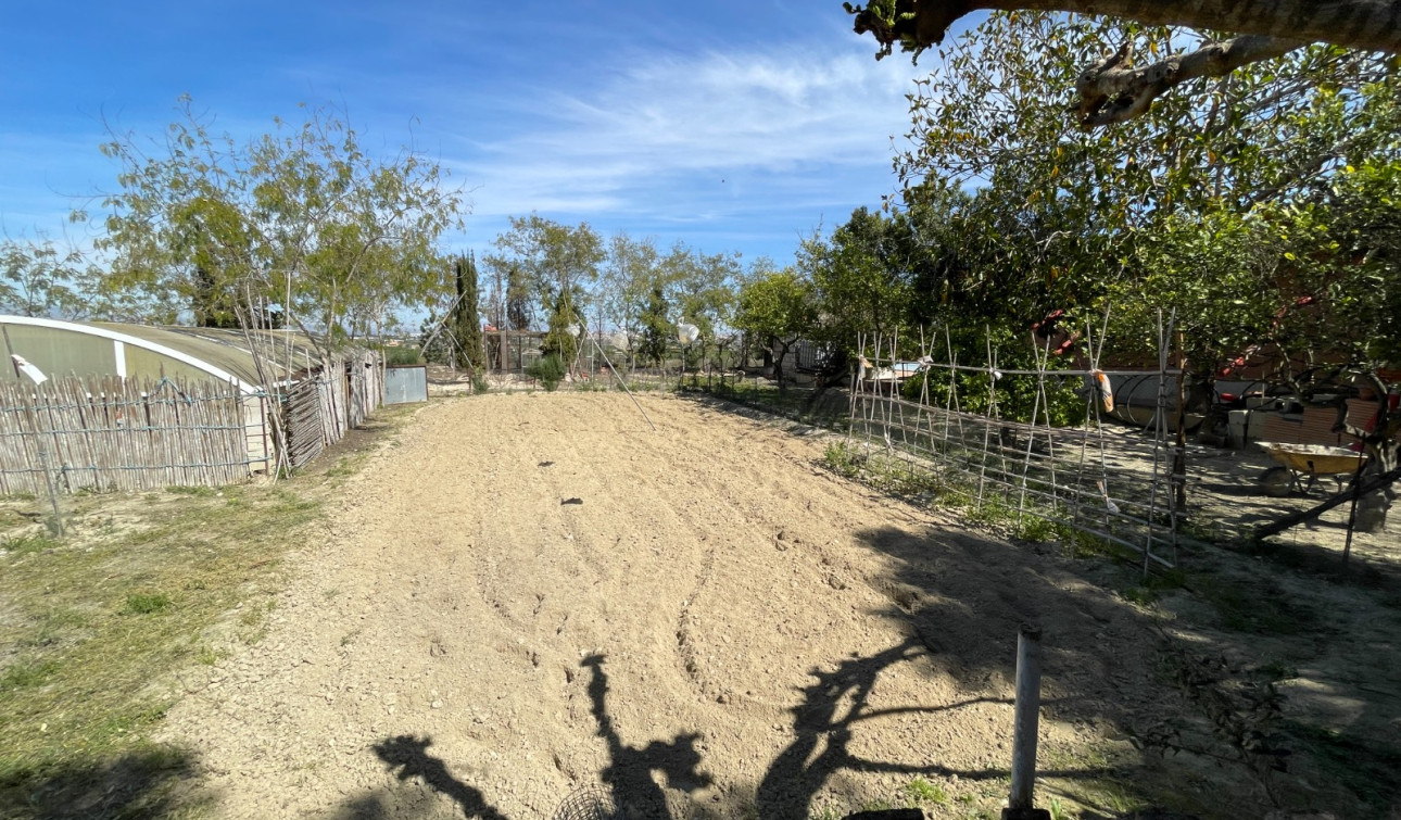 Revente - Villa Individuelle - Guardamar del Segura - Valencian Community