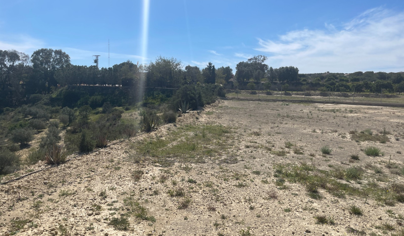 Revente - Villa Individuelle - Guardamar del Segura - Valencian Community