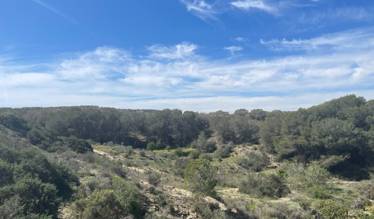 Revente - Villa Individuelle - Guardamar del Segura - Valencian Community