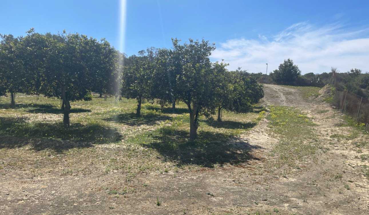 Revente - Villa Individuelle - Guardamar del Segura - Valencian Community