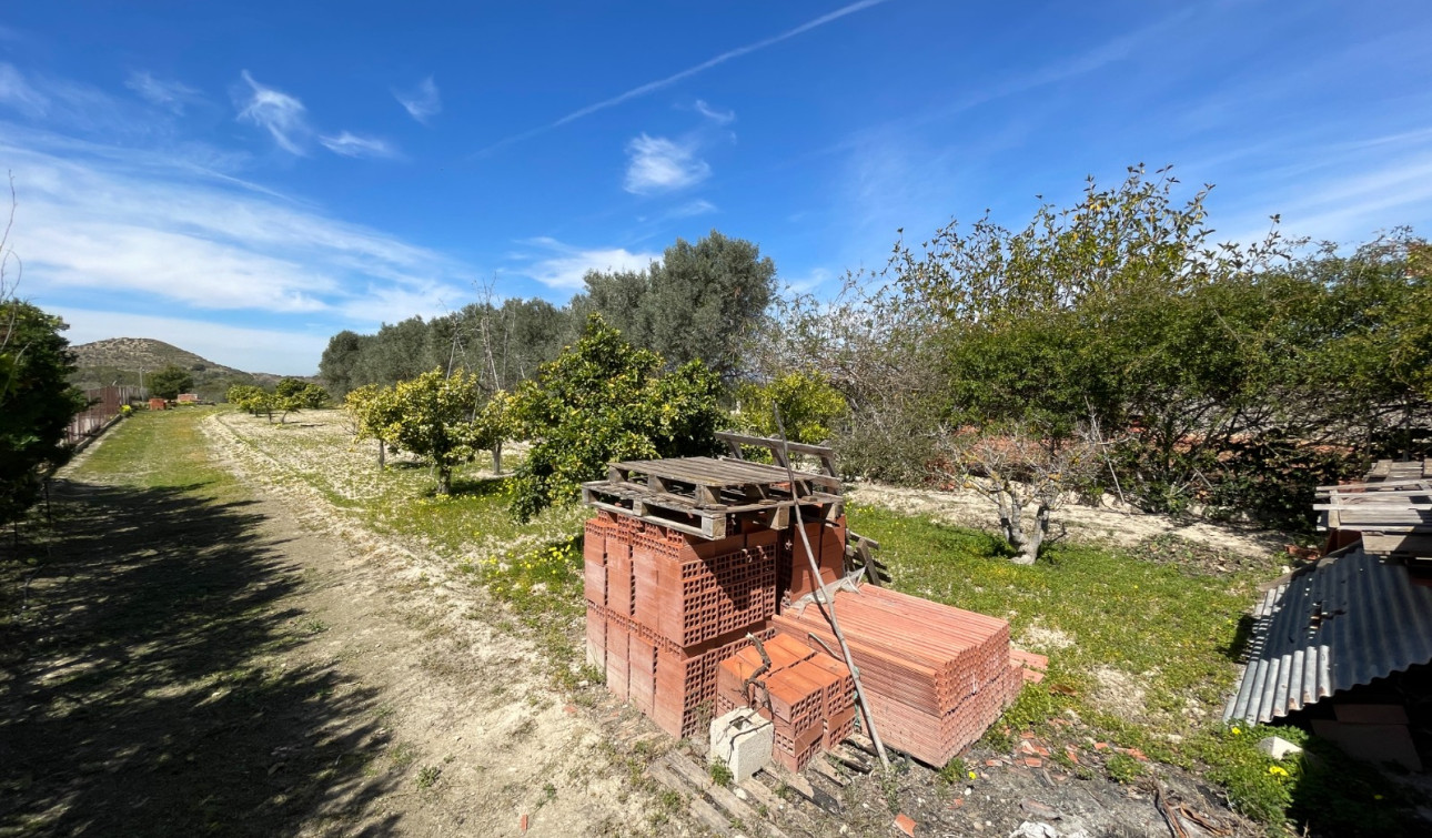 Revente - Villa Individuelle - Guardamar del Segura - Valencian Community