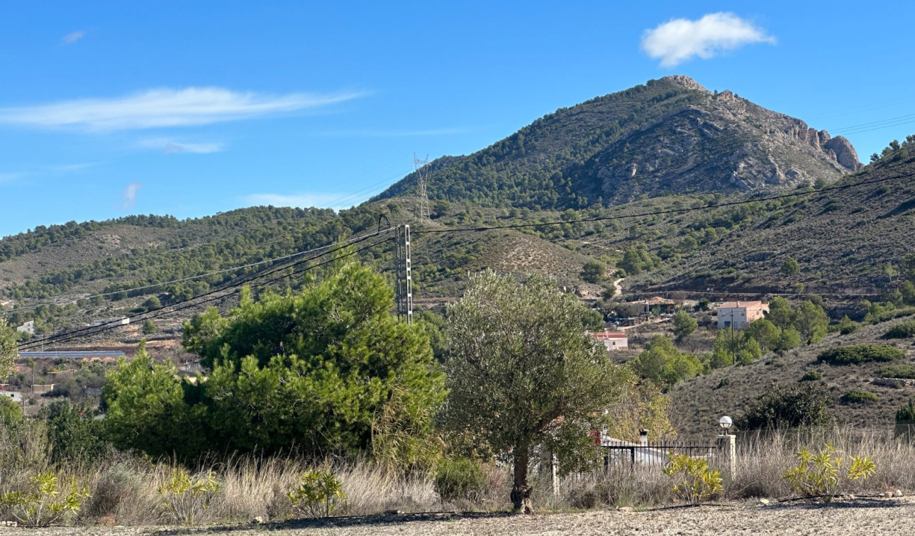 Revente - Villa Individuelle - Hondón de los Fráiles