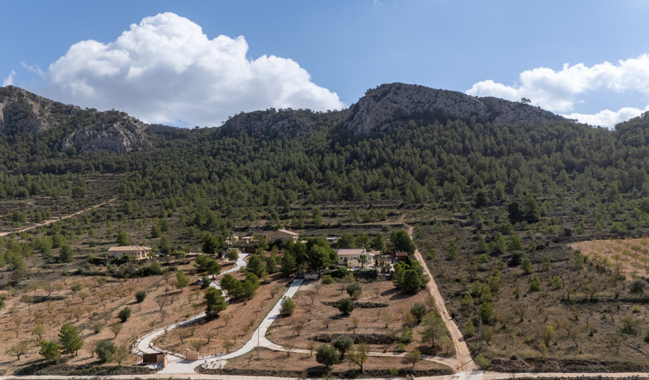 Revente - Villa Individuelle - La Zarza