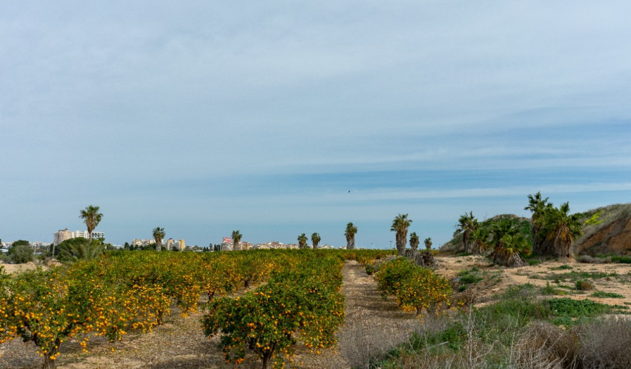 Revente - Villa Individuelle - Los Altos