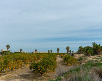 Revente - Villa Individuelle - Los Altos