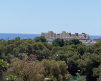 Revente - Villa Individuelle - Mil Palmeras