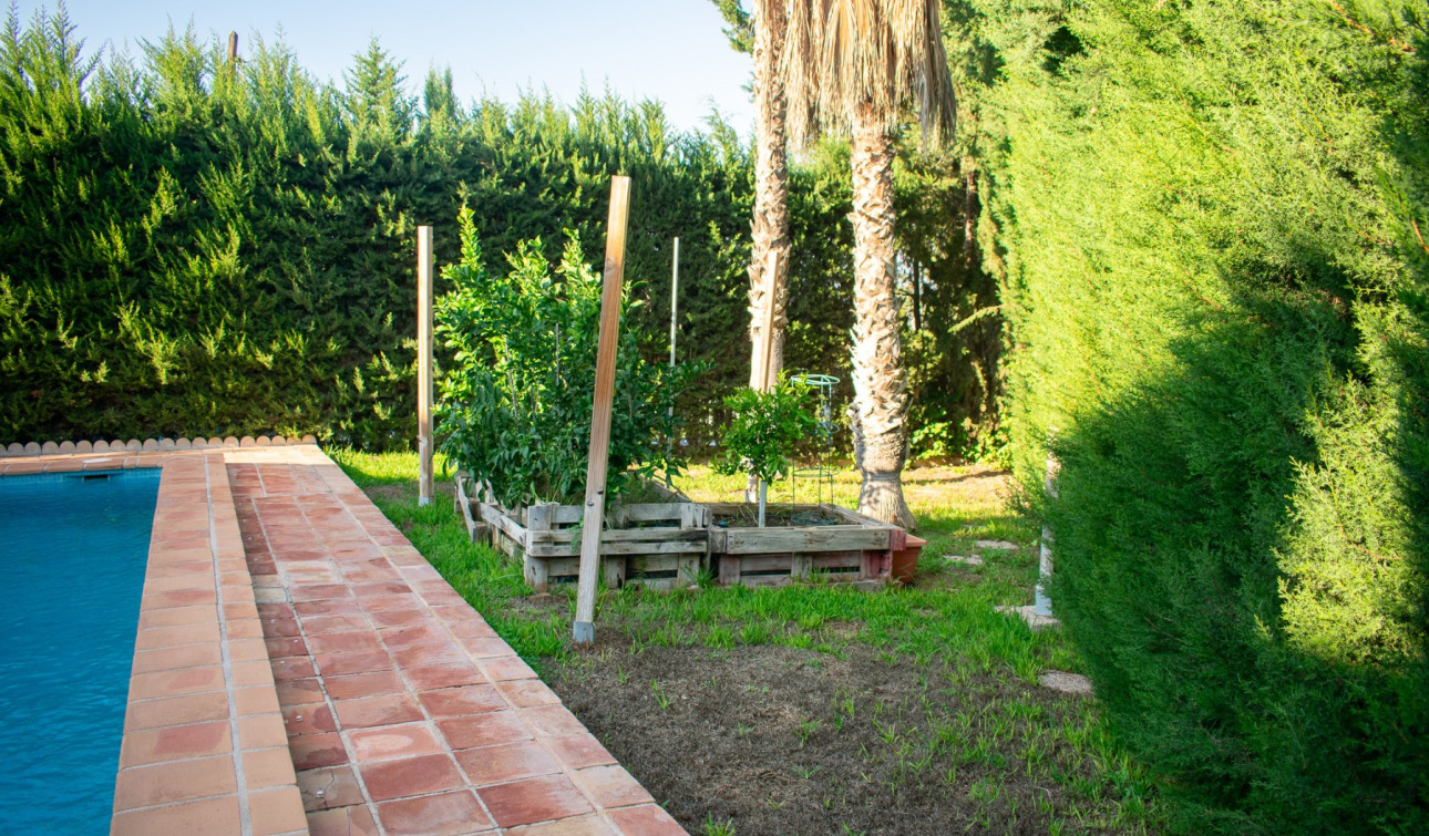 Revente - Villa Individuelle - Molina De Segura - Torre de Cotillas