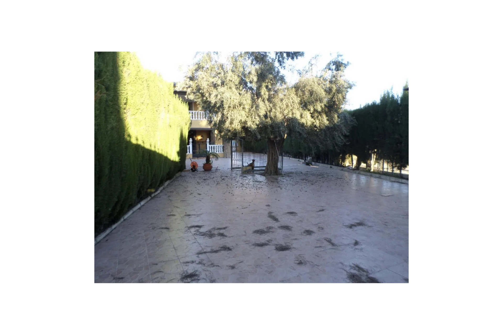Revente - Villa Individuelle - Orihuela - CAMPO