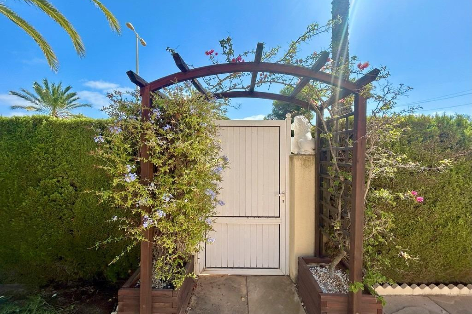 Revente - Villa Individuelle - Orihuela Costa - Aguamarina