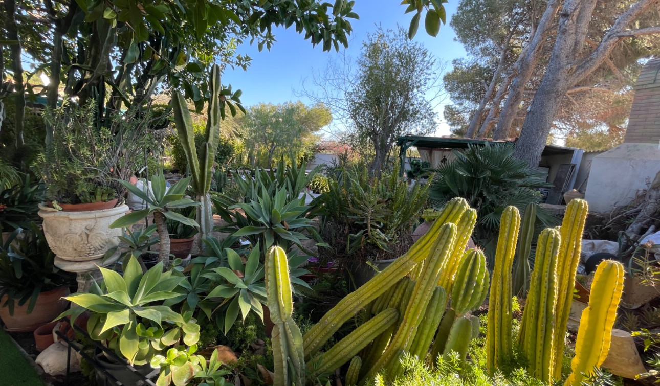 Revente - Villa Individuelle - Orihuela Costa - Lomas de Cabo Roig