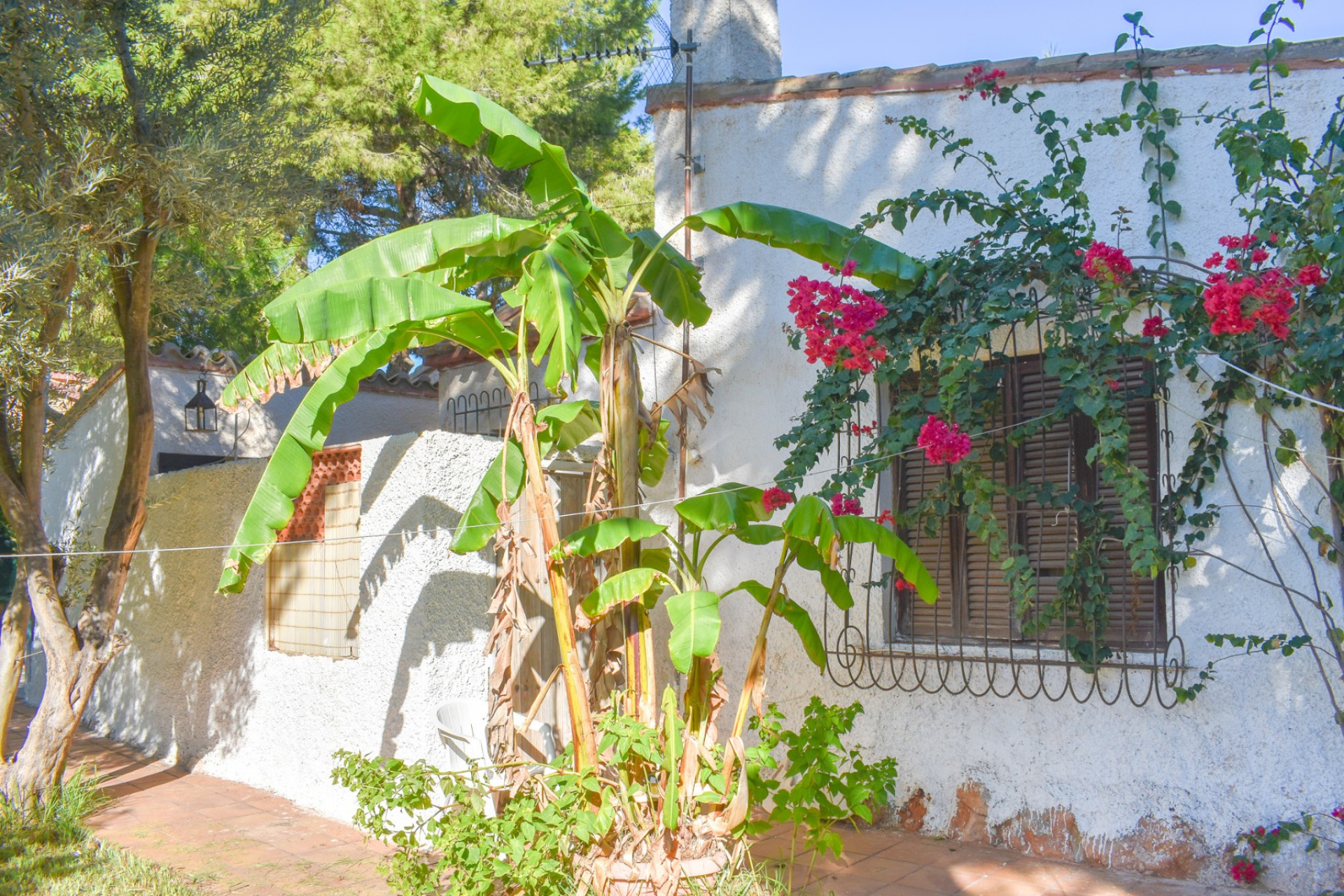 Revente - Villa Individuelle - Orihuela Costa - Punta Prima