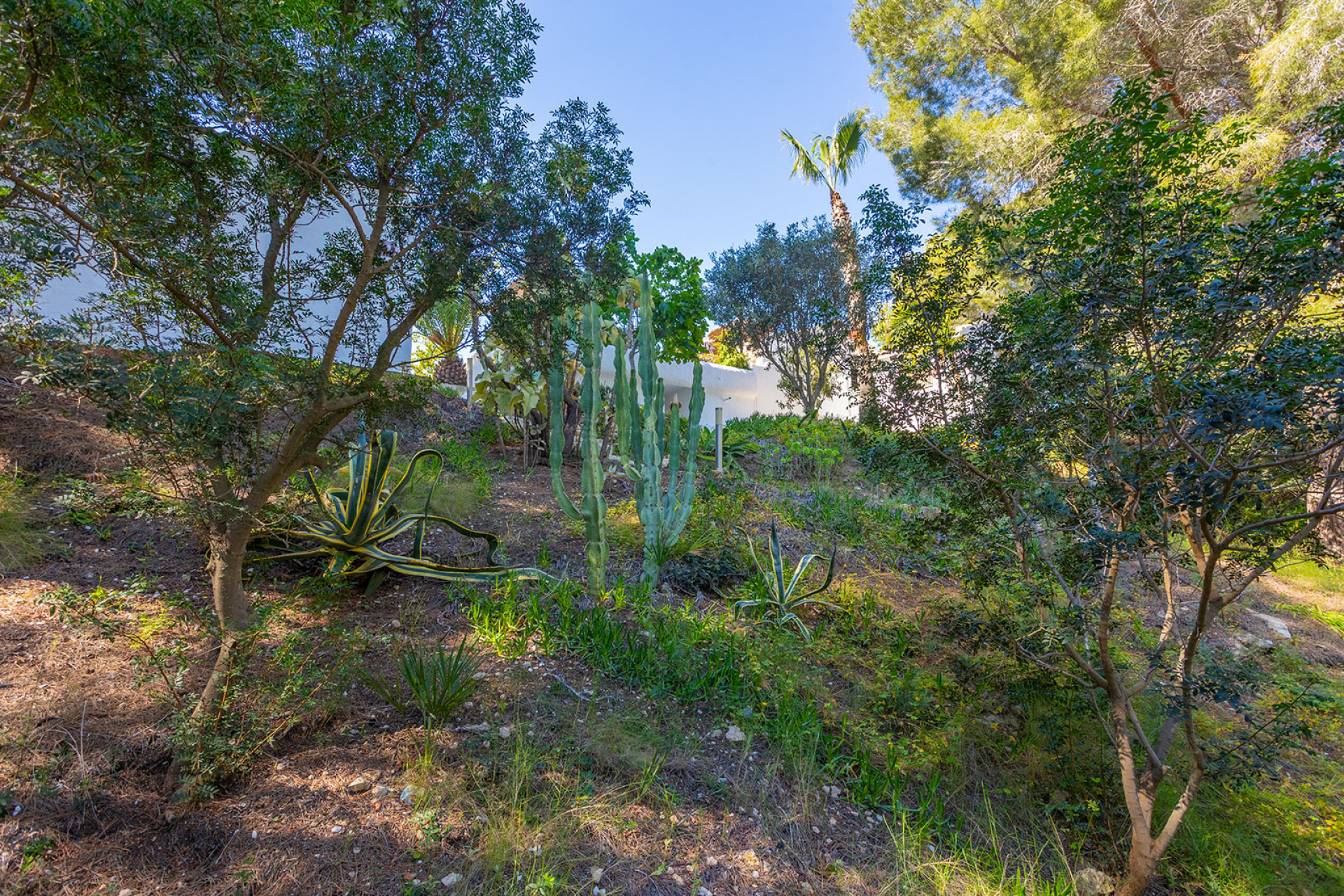 Revente - Villa Individuelle - Orihuela - Orihuela Costa